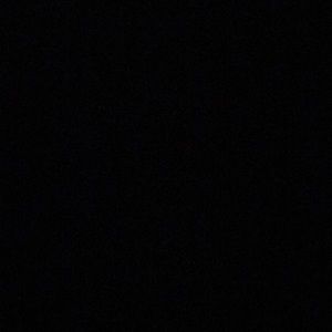 Meet your Posher, Gannon